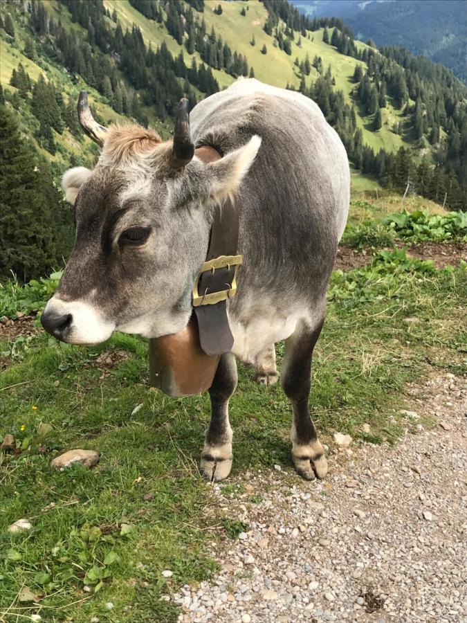 Kraehenberg Am Rande Der Wildnis Lägenhet Sibratsgfäll Exteriör bild