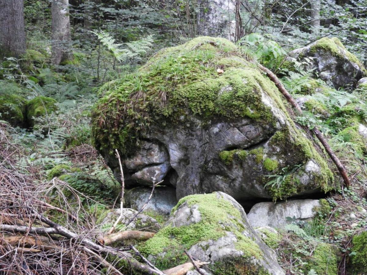 Kraehenberg Am Rande Der Wildnis Lägenhet Sibratsgfäll Exteriör bild