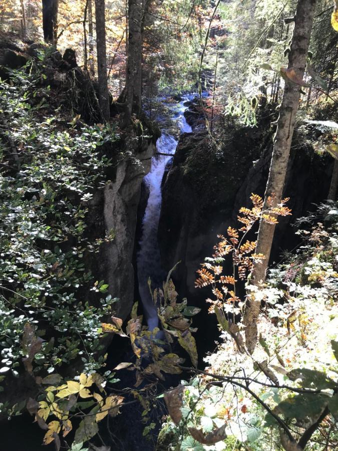 Kraehenberg Am Rande Der Wildnis Lägenhet Sibratsgfäll Exteriör bild
