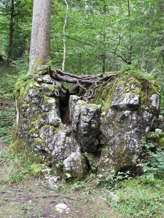 Kraehenberg Am Rande Der Wildnis Lägenhet Sibratsgfäll Exteriör bild