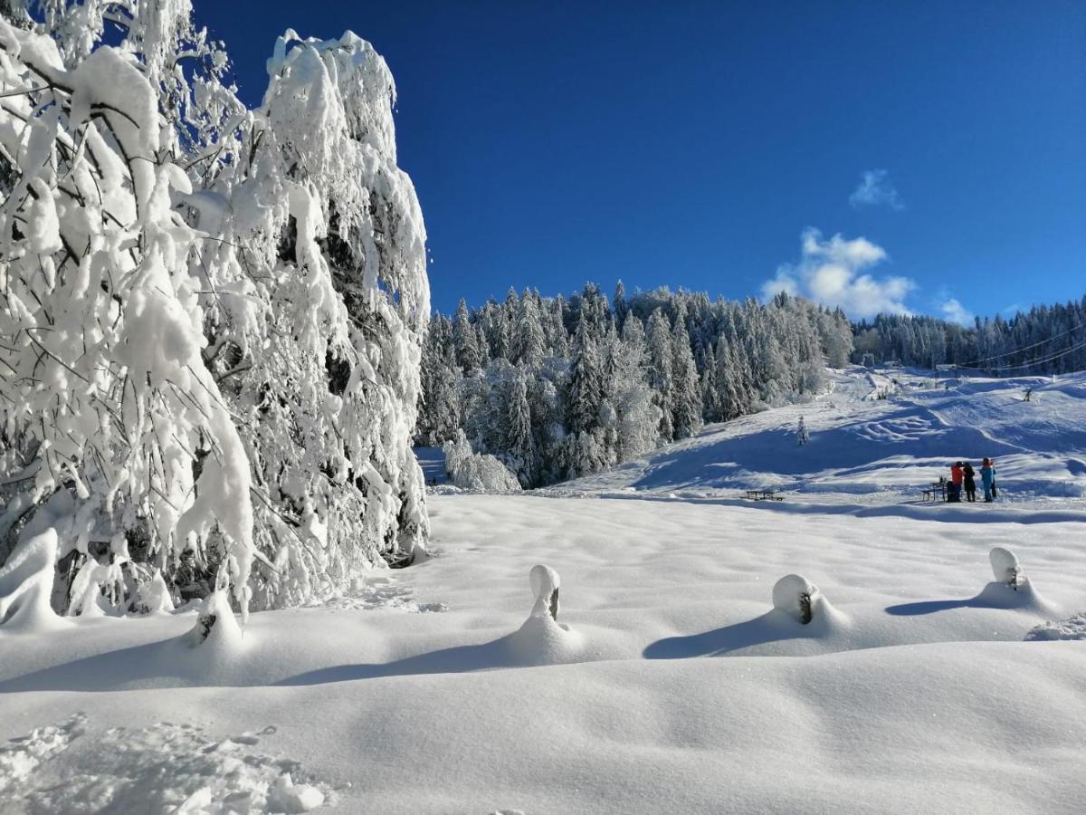 Kraehenberg Am Rande Der Wildnis Lägenhet Sibratsgfäll Exteriör bild