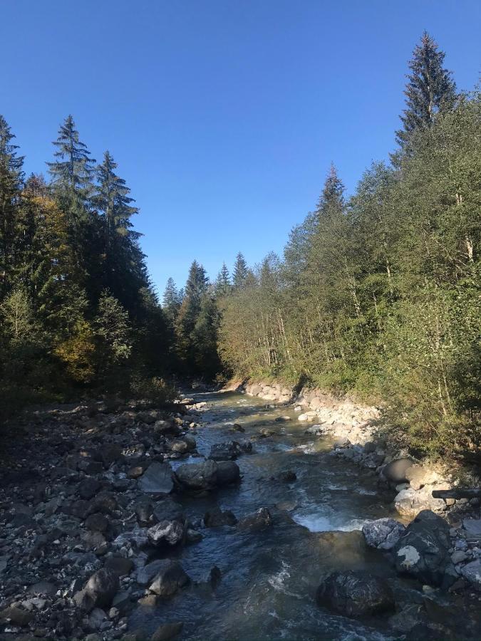 Kraehenberg Am Rande Der Wildnis Lägenhet Sibratsgfäll Exteriör bild