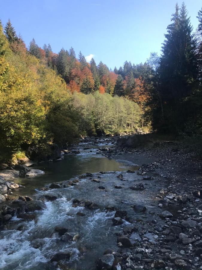 Kraehenberg Am Rande Der Wildnis Lägenhet Sibratsgfäll Exteriör bild
